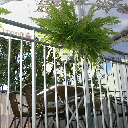 Rössle Szálloda Freiberg am Neckar